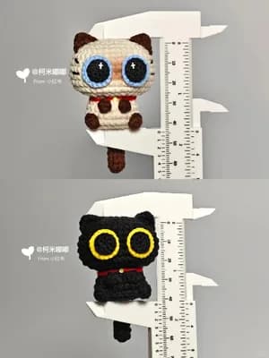 Big-Eyed Cat (Dai Dai) — view 3