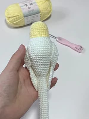 Cockatiel Parrot — view 4