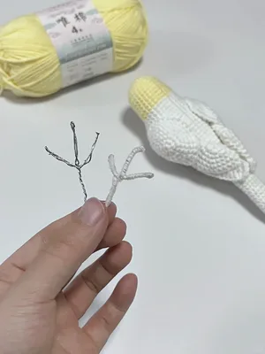 Cockatiel Parrot — view 5