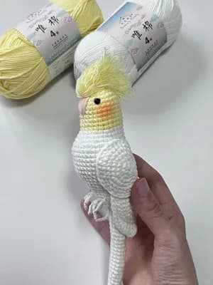 Cockatiel Parrot — view 7