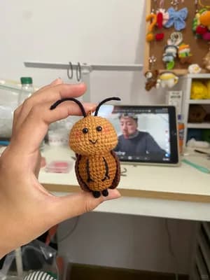 Little Cockroach — view 2
