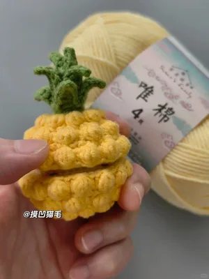 Pineapple Cat — view 3