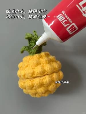 Pineapple Cat — view 4