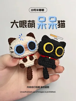 Big-Eyed Cat (Dai Dai) — view 2