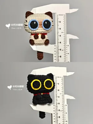 Big-Eyed Cat (Dai Dai) — view 3