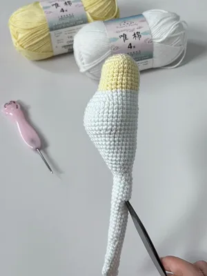 Cockatiel Parrot — view 2
