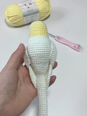 Cockatiel Parrot — view 4