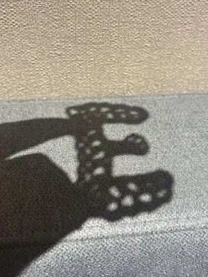 Letter E — view 2
