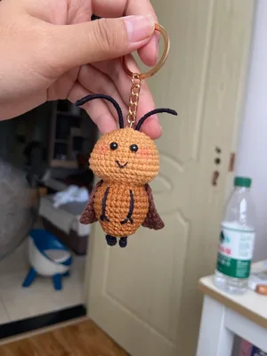 Little Cockroach — view 3