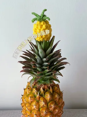 Mini Fruit and Vegetable Set — view 4