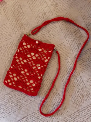 Openwork Phone Bag — free crochet pattern